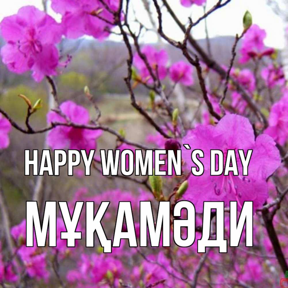 Greetings card с именем, МҰҚАМӘДИ happy women`s day международный женский день Greetings with text for free download 